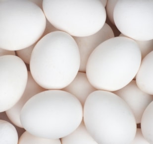 Eggs with white shells